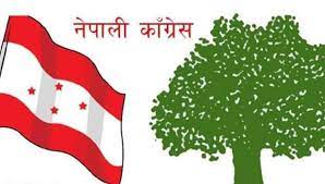 बाह्रदशी १ मा नेपाली कांग्रेसको प्यानलै विजयी