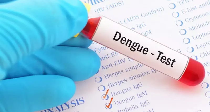 डेंगु परीक्षणमा मनपरी शुल्क, १३ जनाको मृत्यु, संक्रमित १७ हजार नाघे